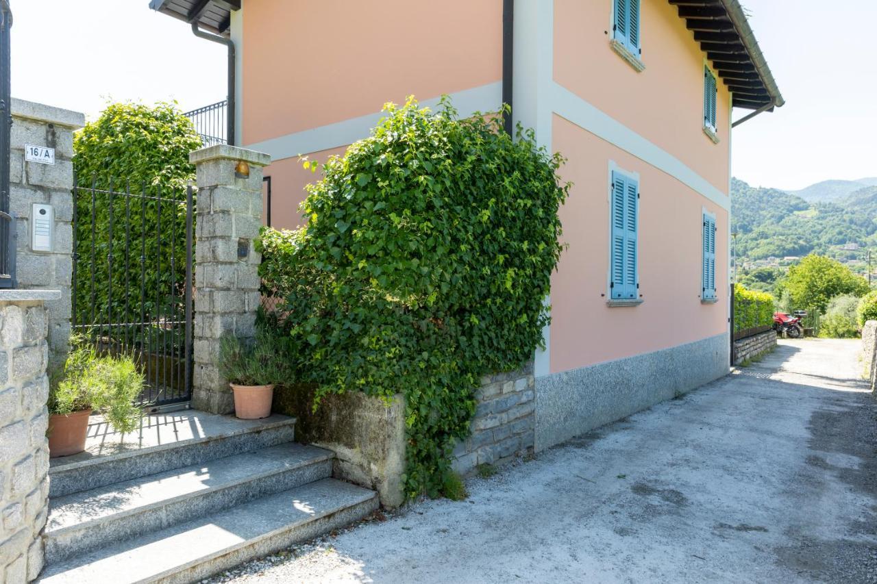 Apartment With Garden And Parking Bellagio Eksteriør bilde
